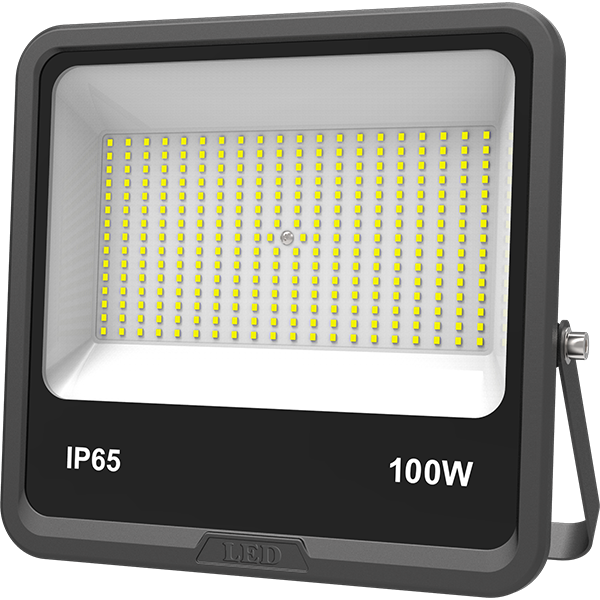 100 watt Outdoor flood Light Bulb