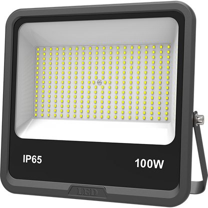 100 watt Outdoor flood Light Bulb